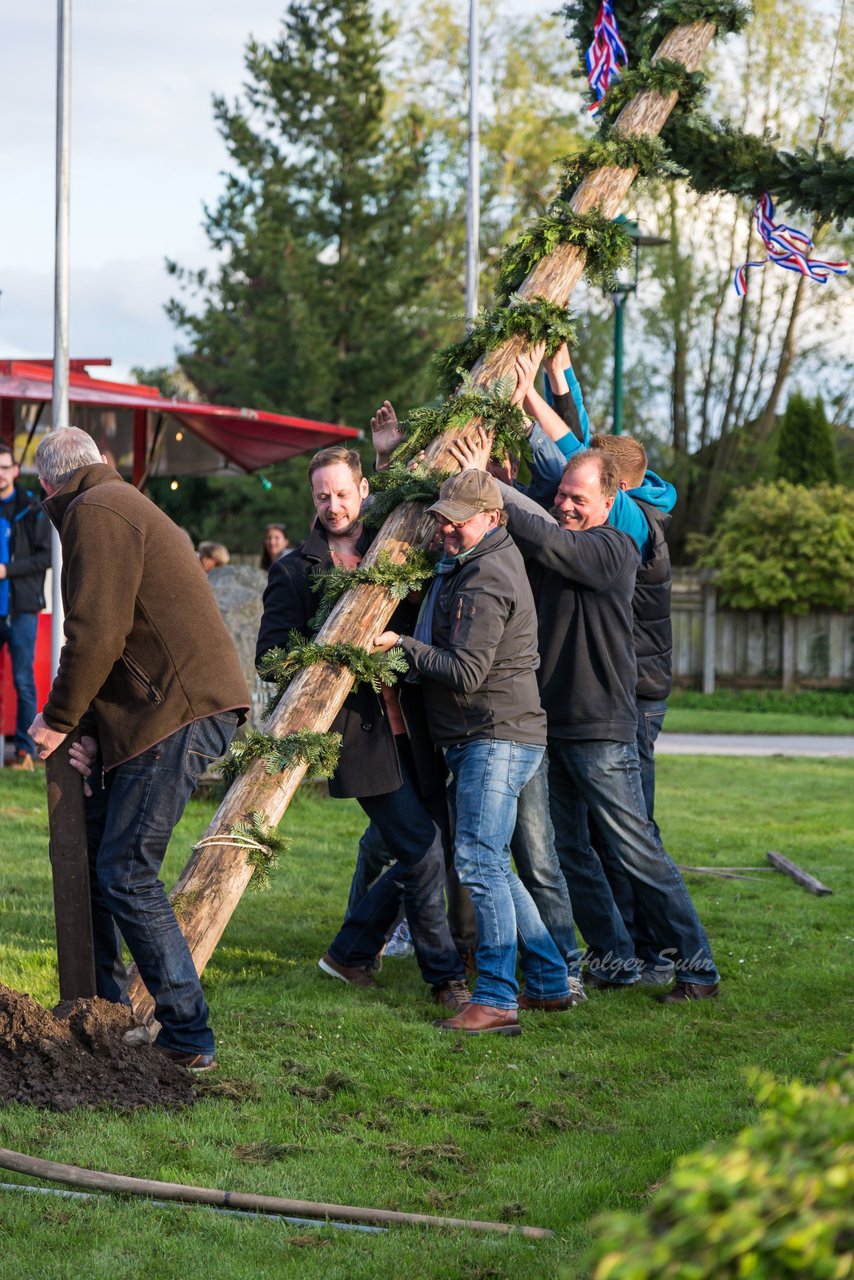 Bild 67 - Maibaum